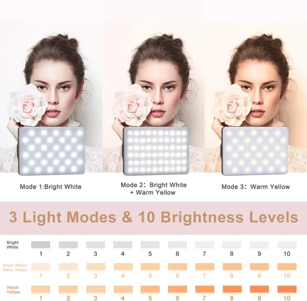 Portable Clip-on Selfie Light